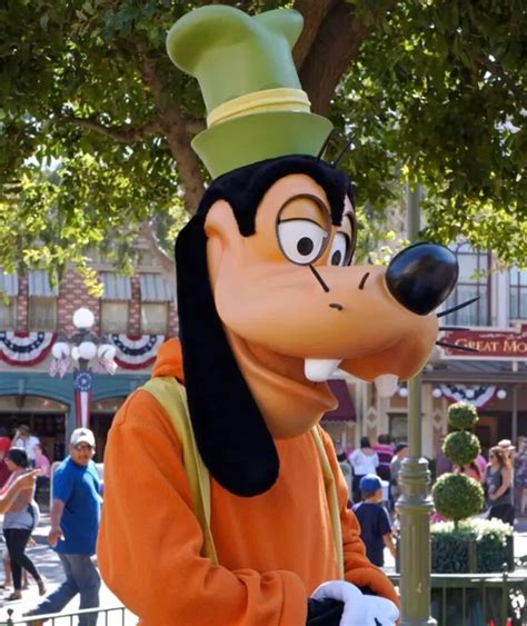 what animal is goofy from disney|goofy was not a dog.